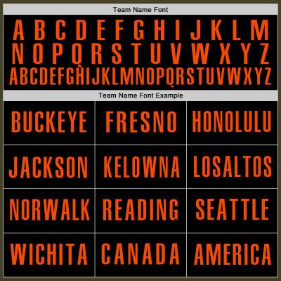 Custom Olive Orange-Black Authentic Salute To Service Baseball Jersey