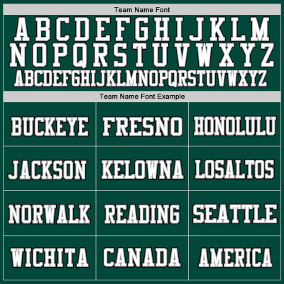 Custom Green White-Gray Mesh Authentic Throwback Football Jersey